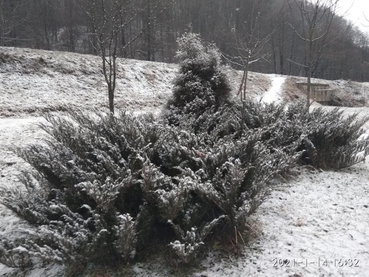 Gorec Jaremče Exteriér fotografie